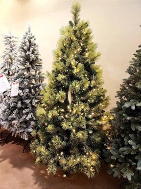 Árvore Pinheiro Colorado 2m • 1000 Galhos • 300 LEDs Warm Bivolt